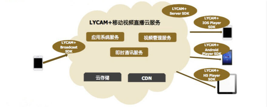 如何高效管理媒体播放软件与接口集成的SDK使用？