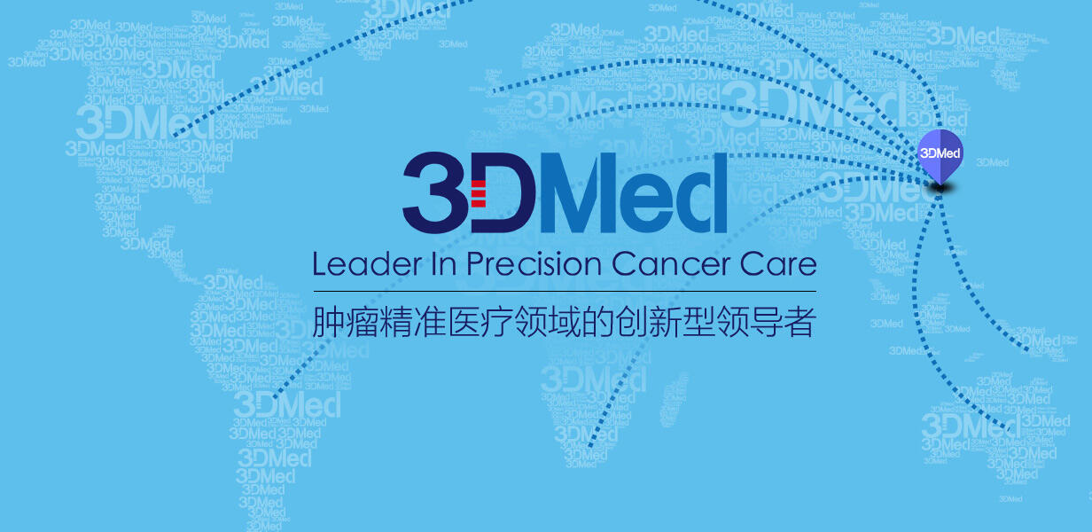 3dmed思路迪