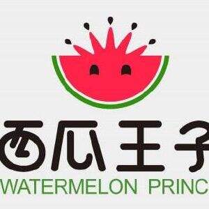 西瓜王子车险分期服务商