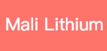 Mali Lithium B.V.简介 | IT桔子