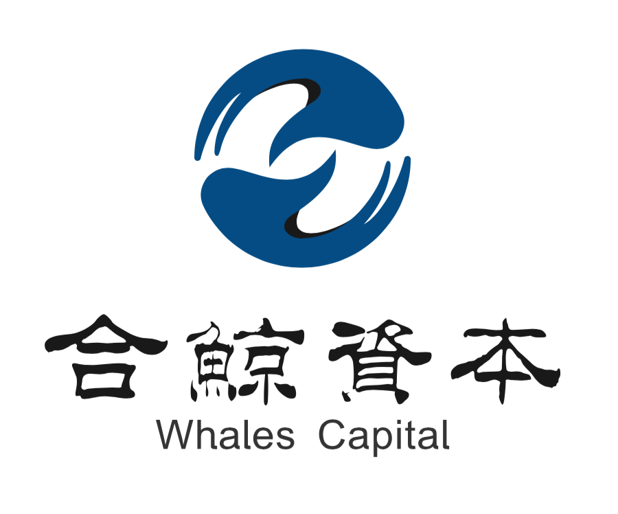 Capital whale. Capital Whale логотип. Картинка компания Capital_Whale. Креативный логотип банковской карты для биржи Capital Whale. CWPT Capital Whale presale token.